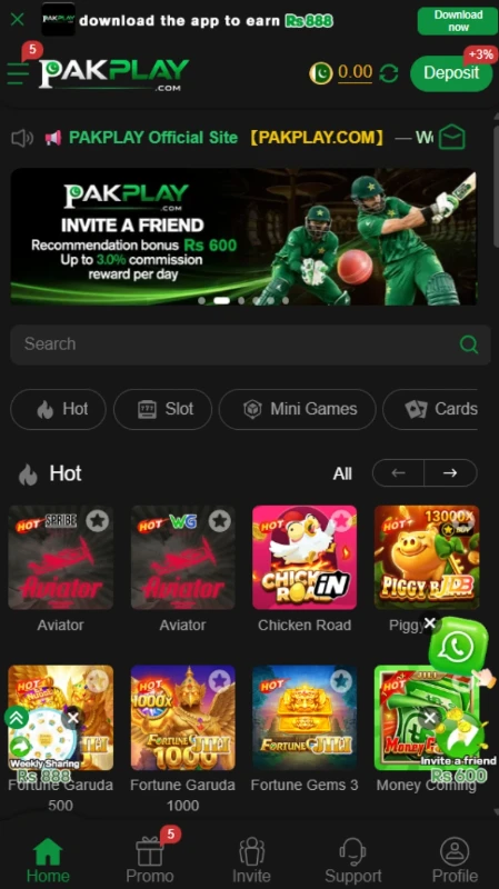Pakplay-Game
