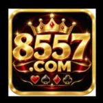 8557-game